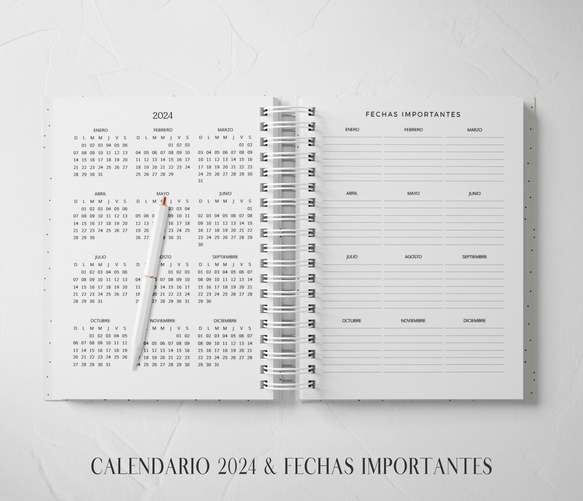 Thepennybug Planner 2024 - Polka Dots