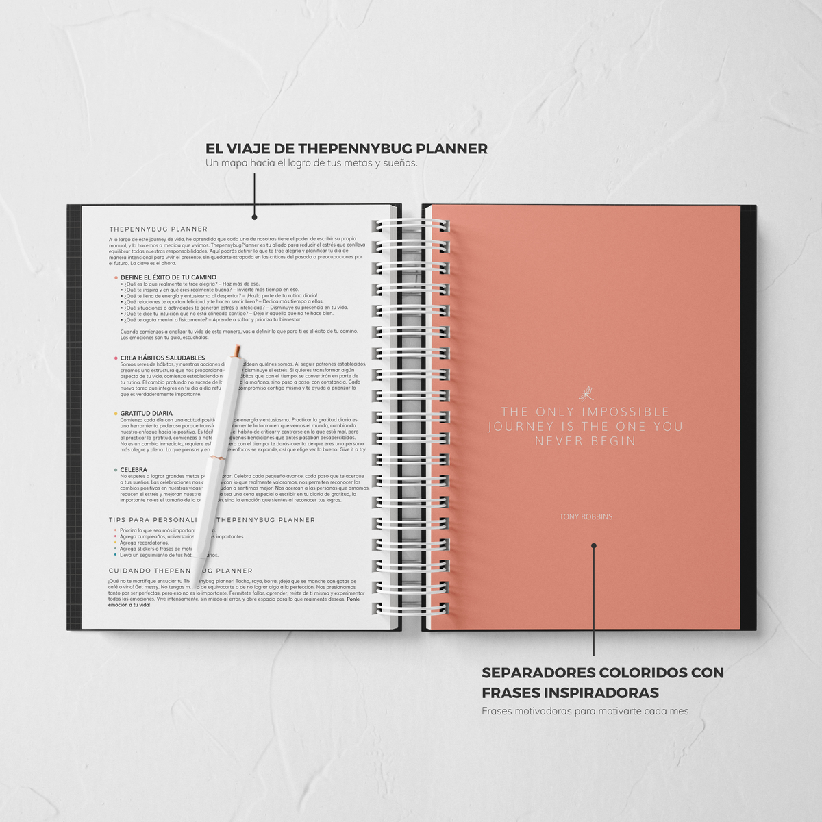 Thepennybug Planner 2025 - Chic Noir