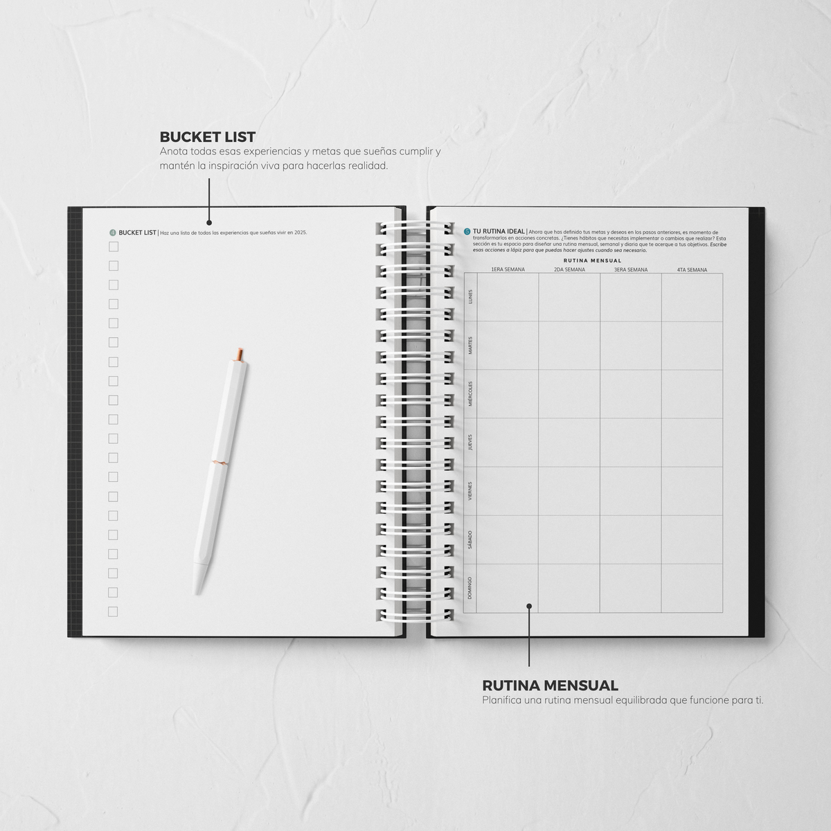 Thepennybug Planner 2025 - Chic Noir