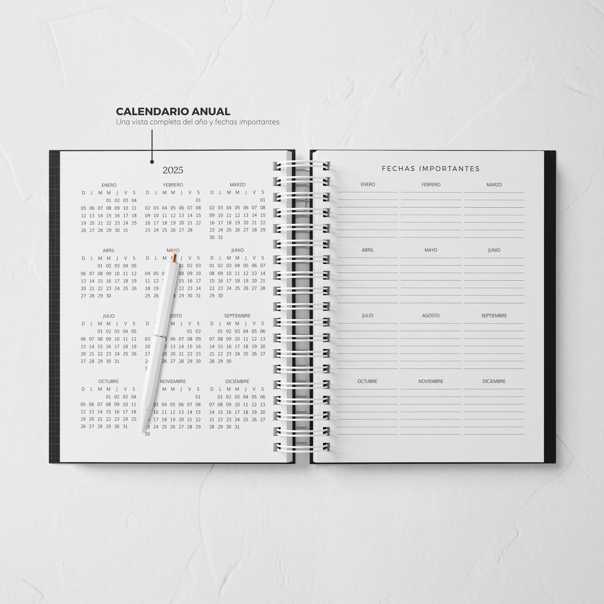 Thepennybug Planner 2025 - Chic Noir