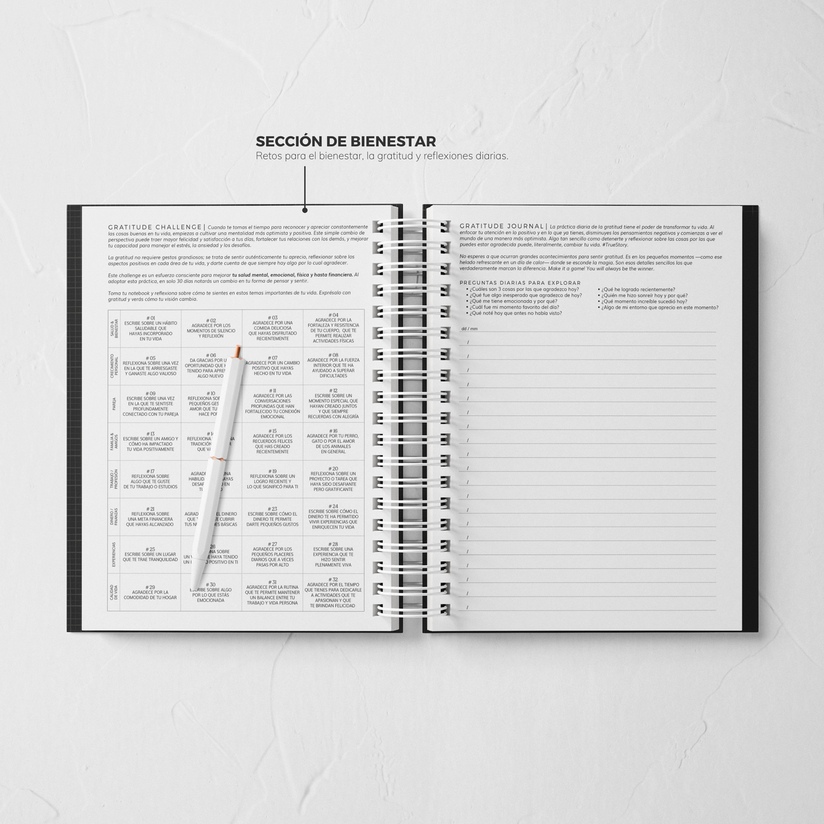 Thepennybug Planner 2025 - Chic Noir