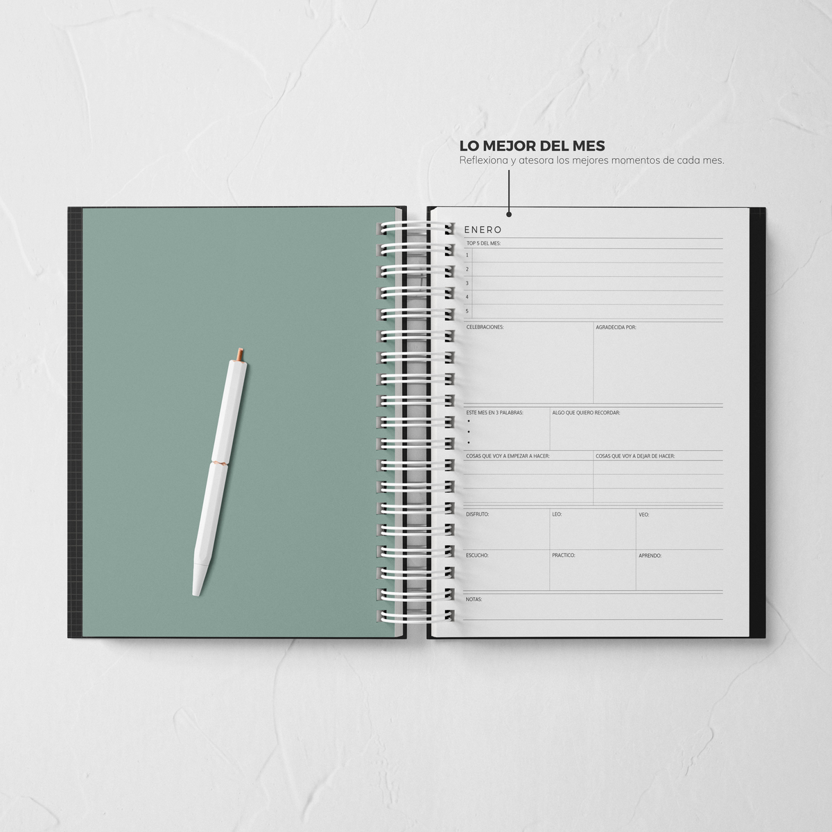 Thepennybug Planner 2025 - Chic Noir