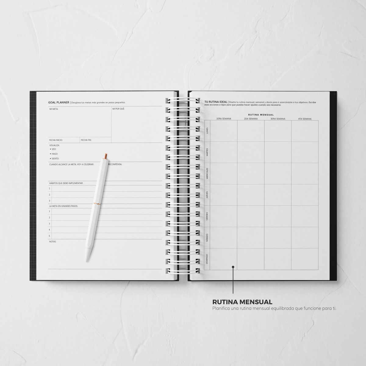 Thepennybug Daily Planner 2025 - Chic Noir