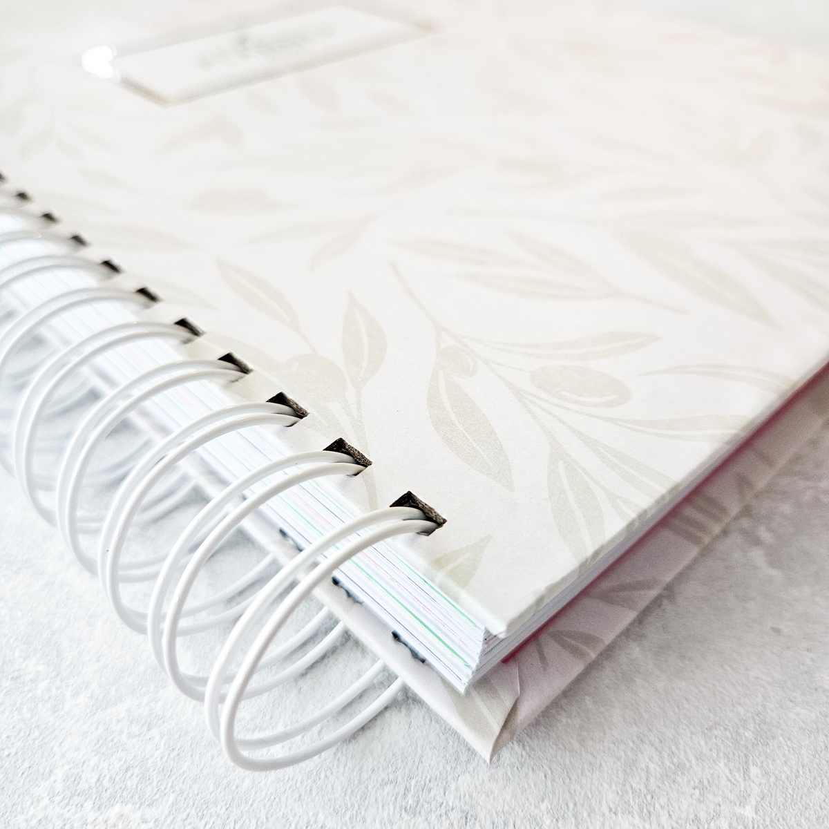 Thepennybug Planner 2025 - Olive Whisper