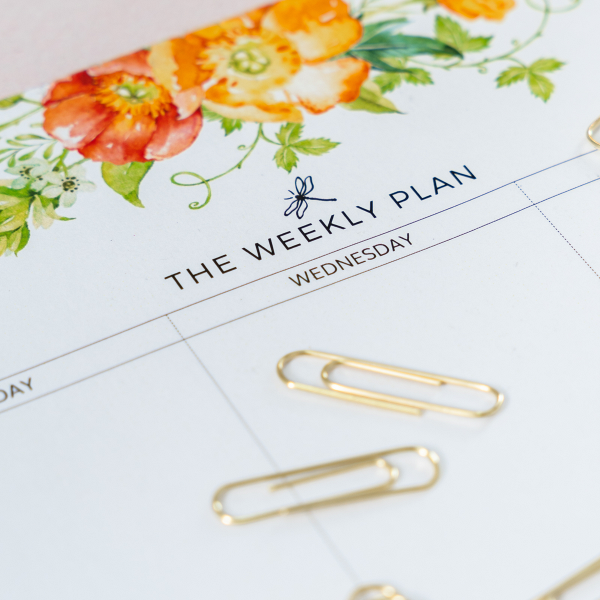 Thepennybug Notepad - The Weekly Plan